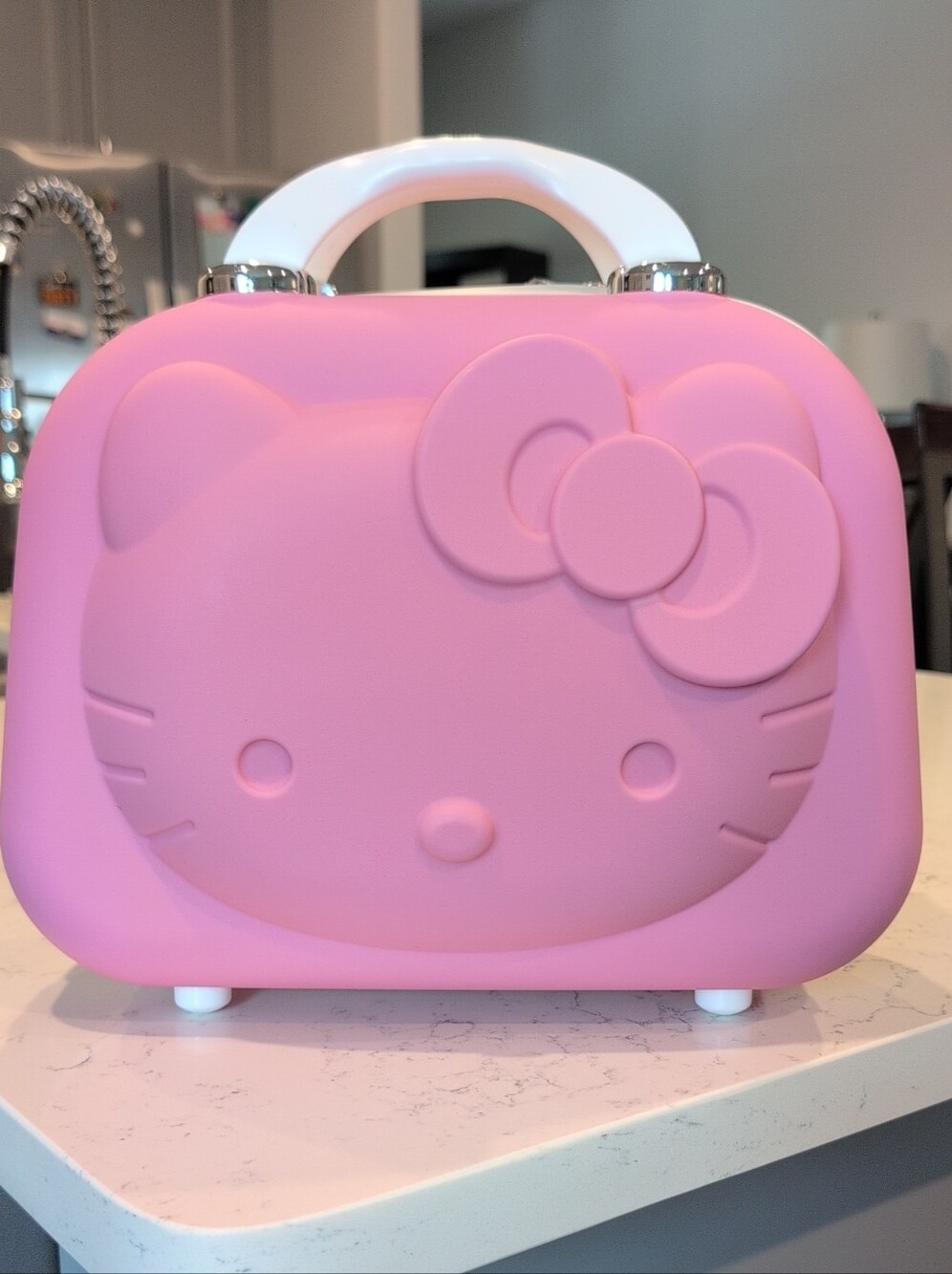 Hello Kitty Pink Travel Case with White Handle